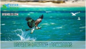 ospreys hunting techniques