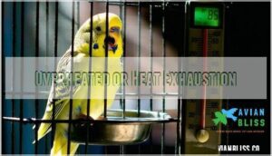 overheated or heat exhaustion overheated or heat exhaustion