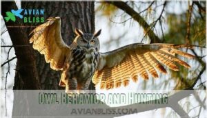 owl behavior and hunting