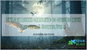 owls in north carolina