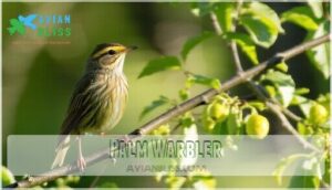 palm warbler