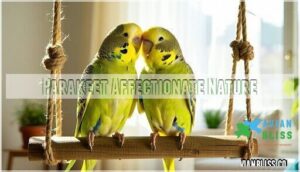 parakeet affectionate nature