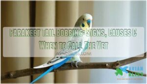 parakeet tail bobbing
