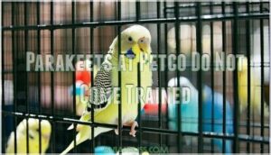 parakeets at petco do not come trained