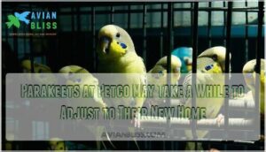 parakeets at petco may take a while to adjust to their new home