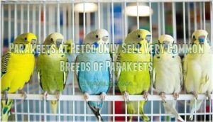 parakeets at petco only sell very common breeds of parakeets