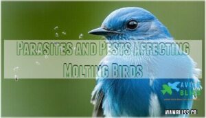 parasites and pests affecting molting birds