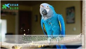 parrot health signs parrot health signs