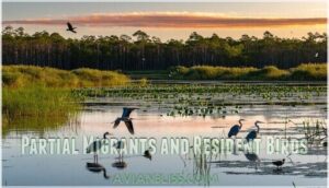 partial migrants and resident birds