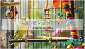 perches and toys