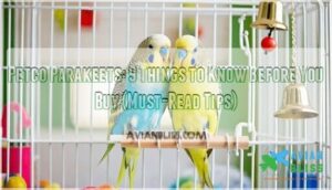 petco parakeets 9 things to know before you buy