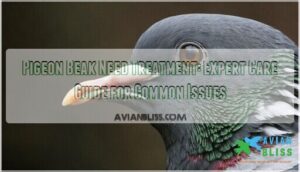 pigeon beak need treatment