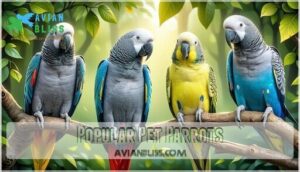 popular pet parrots