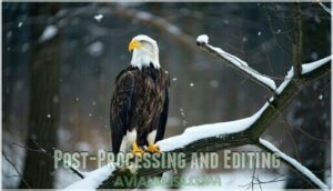 post-processing and editing