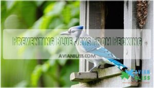 preventing blue jays from pecking