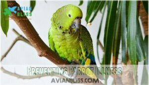 preventing parrot illness preventing parrot illness