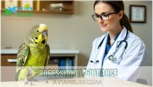 professional guidance