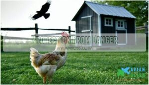 protection from danger