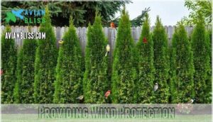 providing wind protection