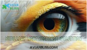 pupillary light response evaluation