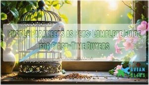 purple parakeets as pets a complete guide for first time buyers