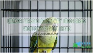quaker parrots petco