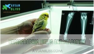 radiographic views and palpation