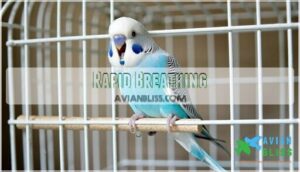 rapid breathing rapid breathing