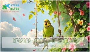reasons behind loud chirping
