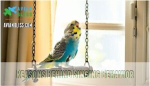 reasons behind singing behavior