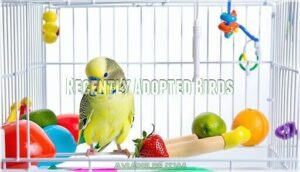 recently adopted birds