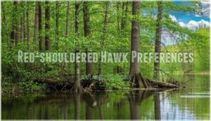 red-shouldered hawk preferences red-shouldered hawk preferences
