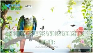 reducing stress and establishing routine