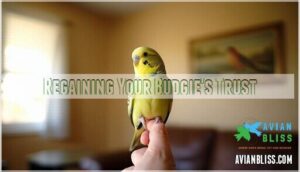 regaining your budgie's trust