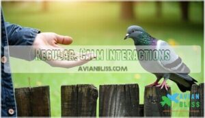 regular, calm interactions