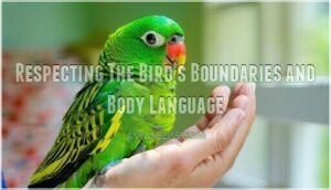 respecting the bird's boundaries and body language