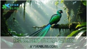 resplendent quetzal habitat resplendent quetzal habitat