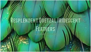 resplendent quetzal iridescent feathers