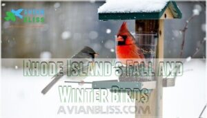 rhode island's fall and winter birds
