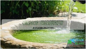 rinsing thoroughly rinsing thoroughly