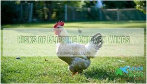 risks of clipping chicken wings
