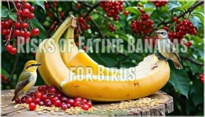 risks of eating bananas for birds