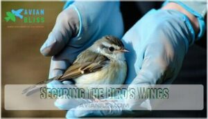 securing the bird's wings