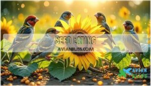 seed eating