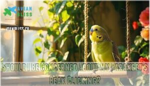 should i be concerned about my parakeet's beak clicking
