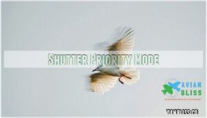 shutter priority mode
