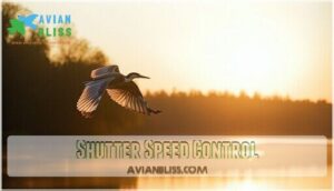 shutter speed control