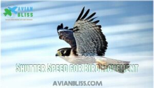 shutter speed for bird movement