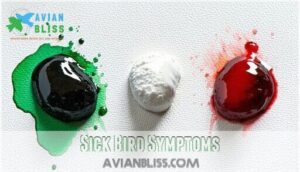 sick bird symptoms sick bird symptoms