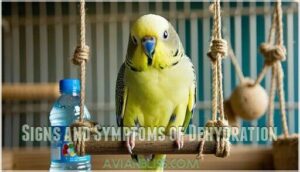 signs and symptoms of dehydration